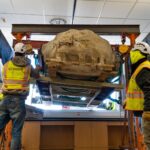 Ongelooflijke Ontdekking: Gigantische Dino Medusa Gevonden in Winona!