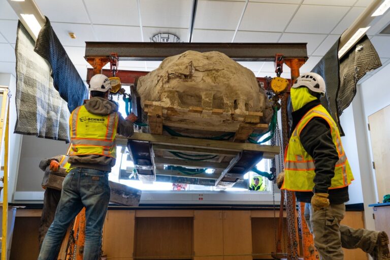Ongelooflijke Ontdekking: Gigantische Dino Medusa Gevonden in Winona!