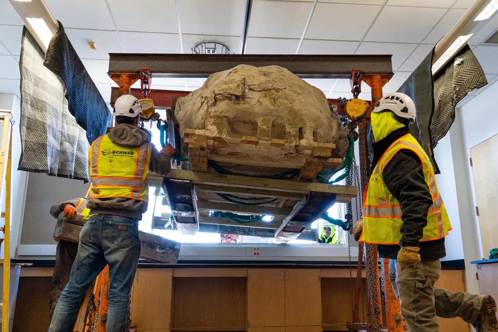 Ongelooflijke Ontdekking: Gigantische Dino Medusa Gevonden in Winona!