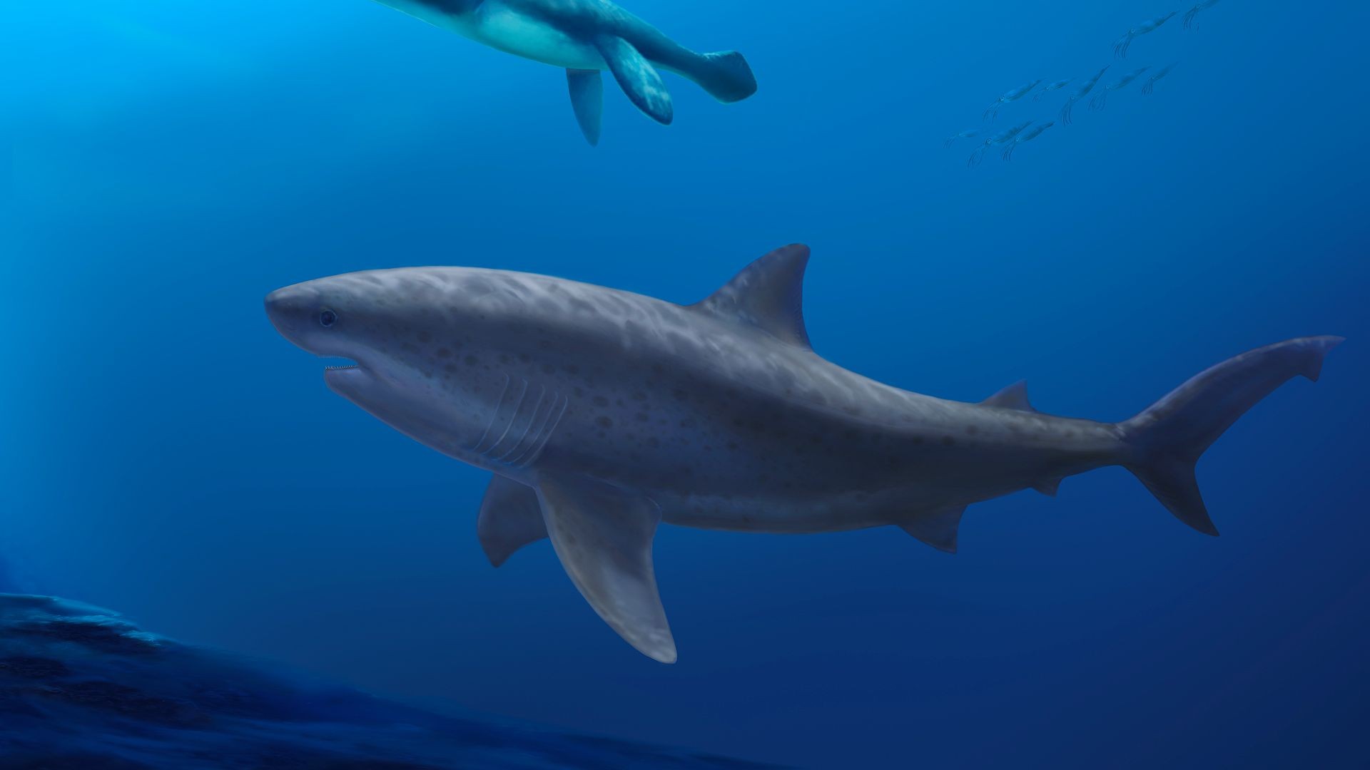 Ongelooflijke Ontdekking: Gigantische Haai Leefde 115 Miljoen Jaar Geleden!