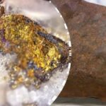 Ontdek de Verbazingwekkende Redenen waarom Honden Hun Hoofd Hellend Houden