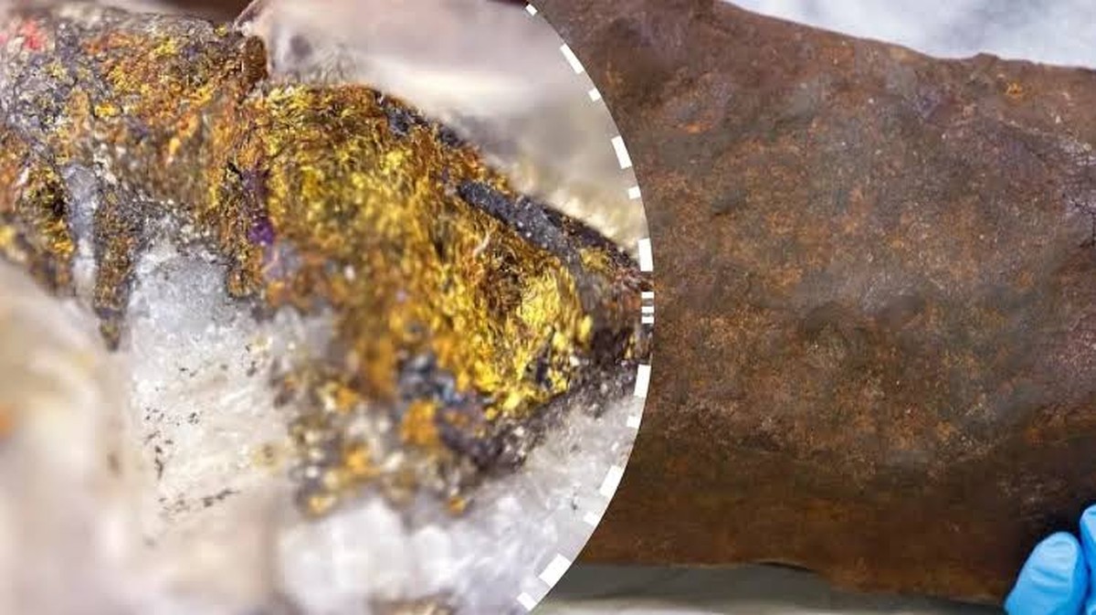 Ontdek de Verbazingwekkende Redenen waarom Honden Hun Hoofd Hellend Houden