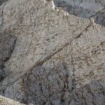 Ontdek de Verbazingwekkende Dinosaurussporen van 200 Miljoen Jaar Geleden in de Italiaanse Alpen!