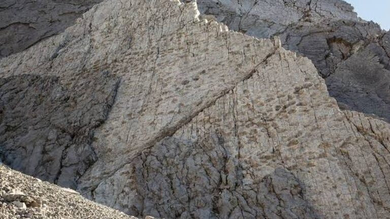 Ontdek de Verbazingwekkende Dinosaurussporen van 200 Miljoen Jaar Geleden in de Italiaanse Alpen!