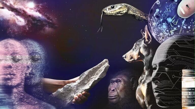 Ontdek de Verbazingwekkende Wetenschappelijke Doorbraken van 2025!