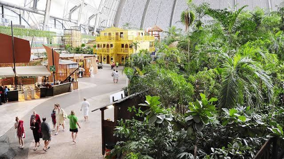 Ontdek de Verbluffende Tropen-Welt: Het Grootste Indoor Regenwoud van de Wereld!