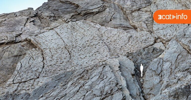 Ontdekking van de Dinosaur Valley: Miljoenen Jaren Oude Voetafdrukken Gevonden in de Dolomieten