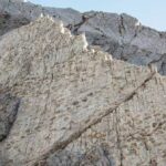 Ontdekking van een Miljoenenjaren Oude Dinosaurussporen in Italië!