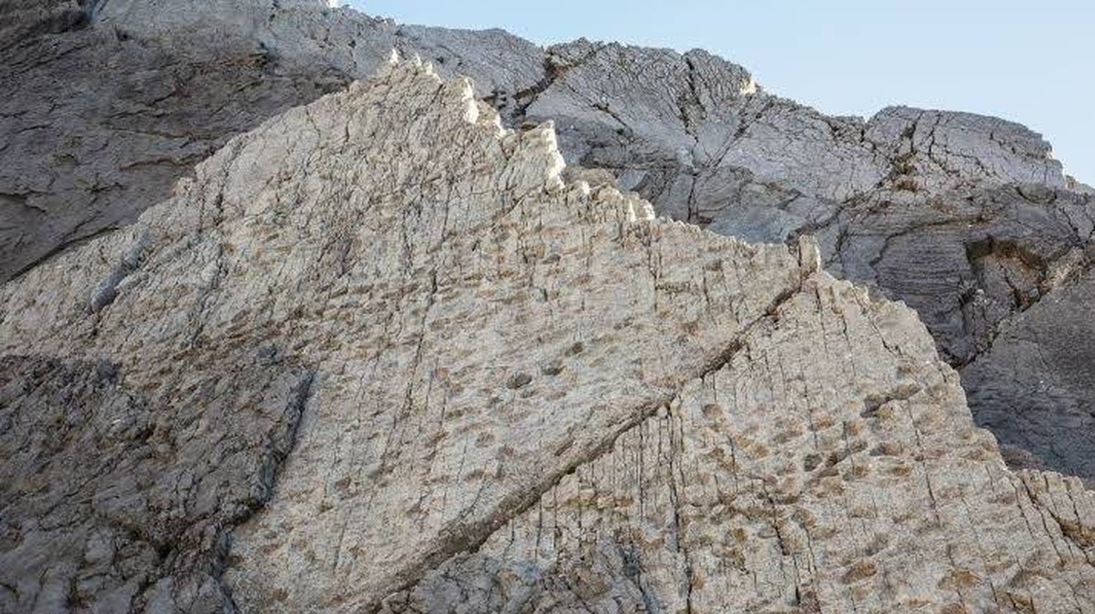 Ontdekking van een Miljoenenjaren Oude Dinosaurussporen in Italië!