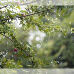 Revolutionaire Ontdekking: Verborgen Atmosferische Rivieren van de Kaspische Zee naar de Balkan!