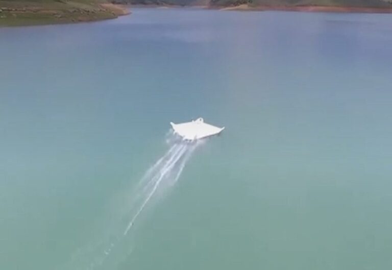 Revolutionaire Start-up in de Amazone: De Toekomst van Vervoer is Hier!