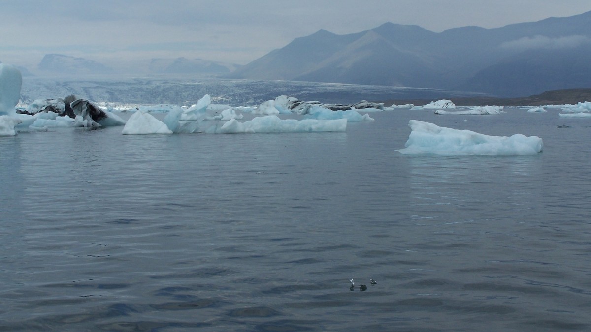 Verbazingwekkende Nauwkeurigheid van Zeespiegelvoorspellingen: Wat de Toekomst Voor ons In Houdt