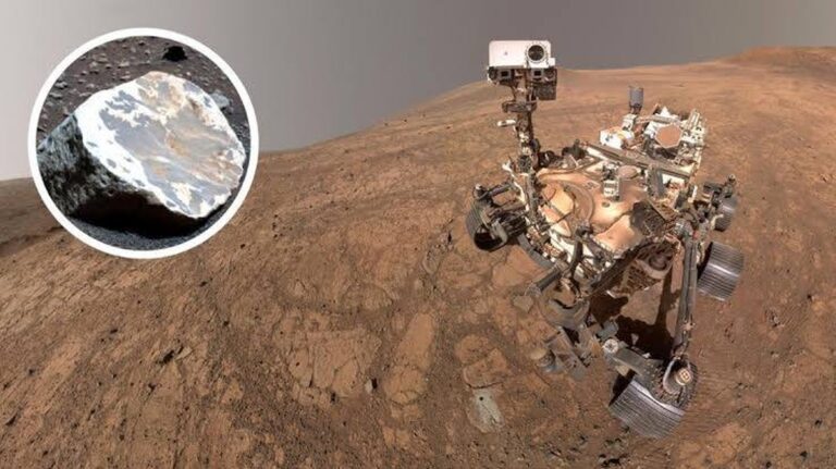 Verbluffende Ontdekking op Mars: Was was er ooit een tropisch regenwoud?