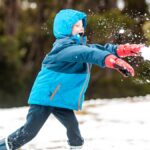 Waarom Tasmanië de Nieuwe Favoriete Bestemming is voor Verhuizers vanwege Klimaatverandering