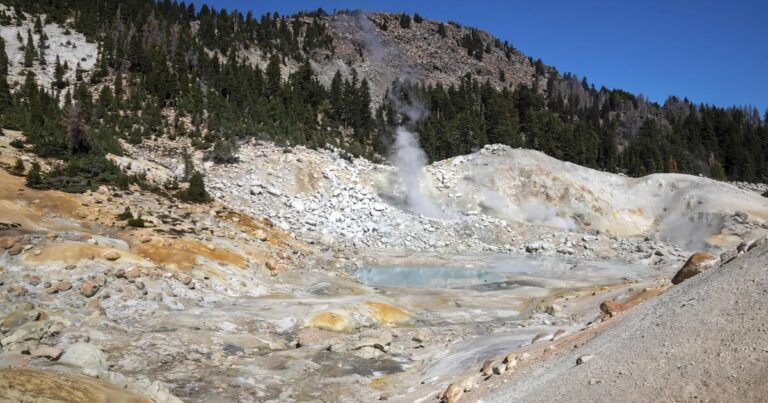 Wetenschappelijke Doorbraak: Amöbe Overleeft Temperaturen tot 70°C!
