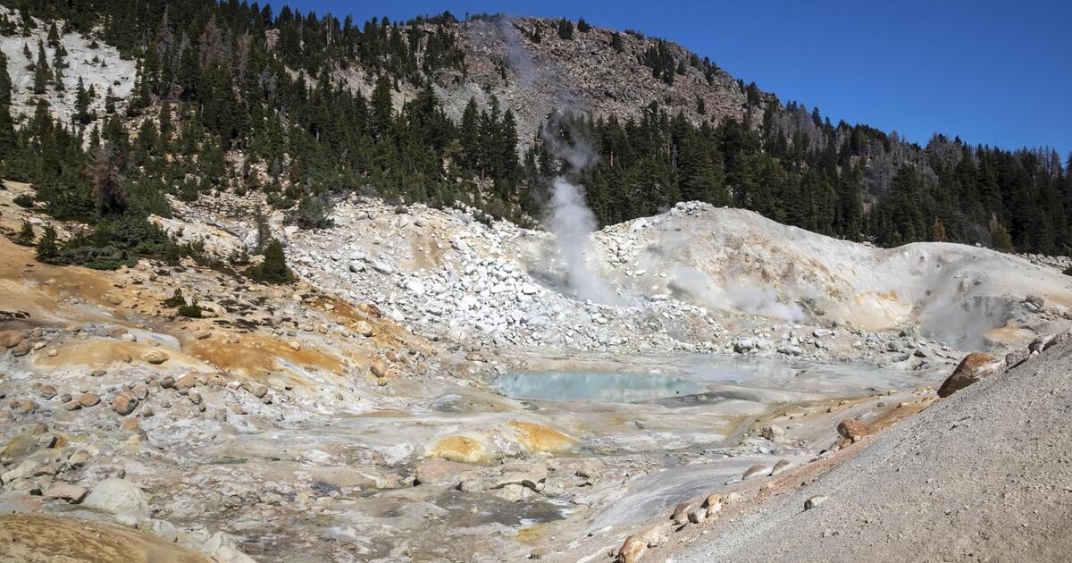 Wetenschappelijke Doorbraak: Amöbe Overleeft Temperaturen tot 70°C!