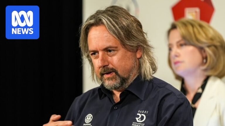 Zomer Vooruitzichten: Positieve Tegenslagen voor Algenbloei in Zuid-Australië!