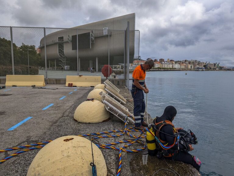 Herleving van de Zeeleven: Innovatie Onder het Albareda Dokk in Santander