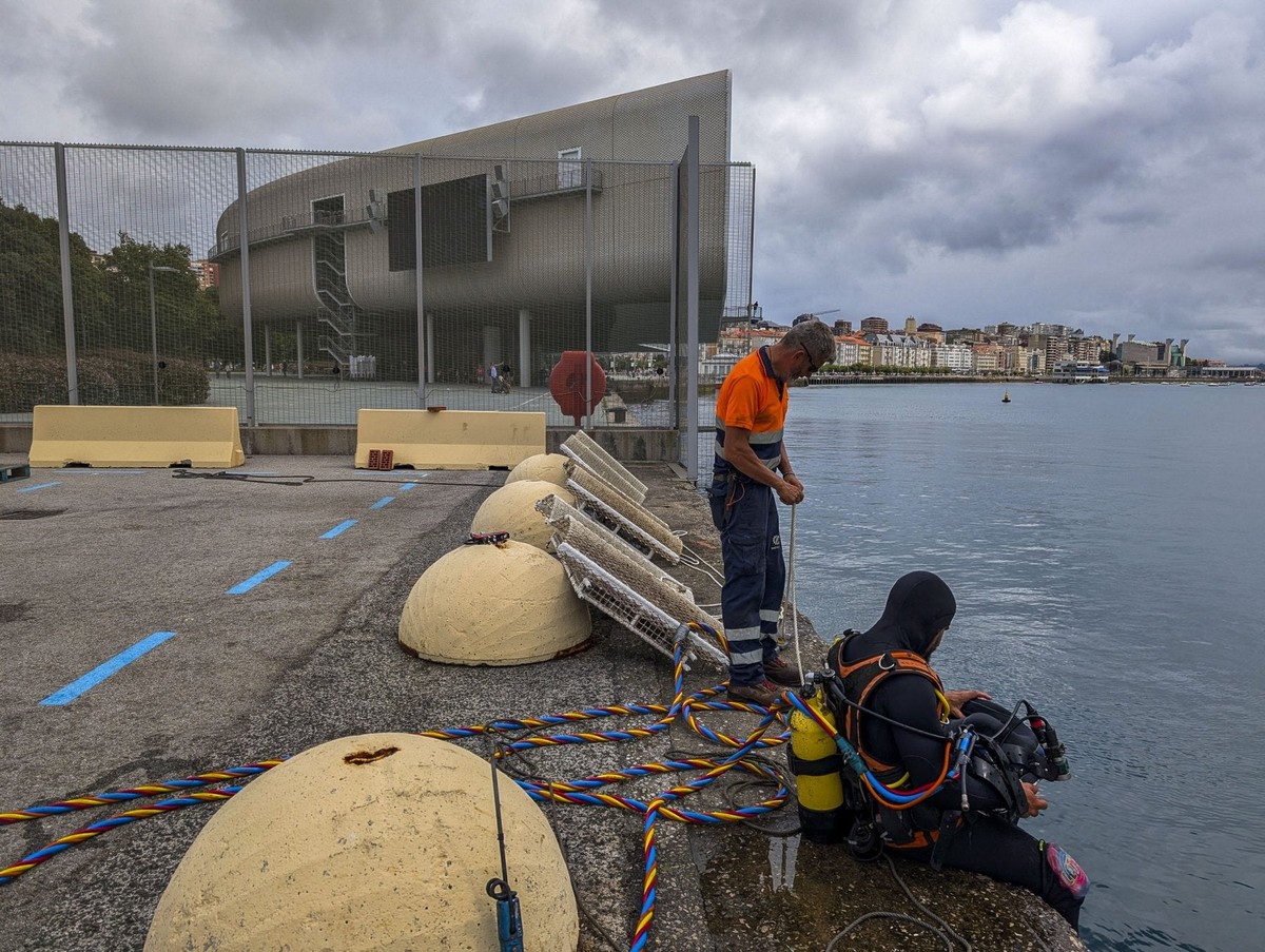 Herleving van de Zeeleven: Innovatie Onder het Albareda Dokk in Santander