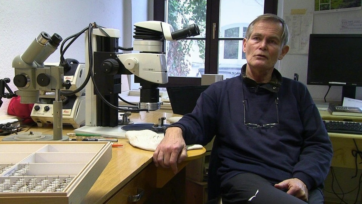 Ontdek de Fascinerende Wereld van Invasieve Mieren: De Strijd Tegen de Tapinoma magnum!