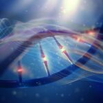 Ontdek de Universele Thermische Prestatiecurve: De Verborgen Beperkingen van Leven bij Opwarming