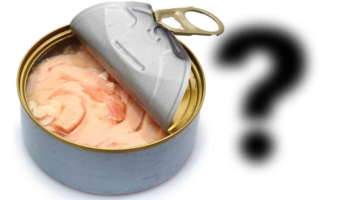 Onthulling: Verborgen Gevaren in Bliktonijn die Consumenten Moeten Weten!