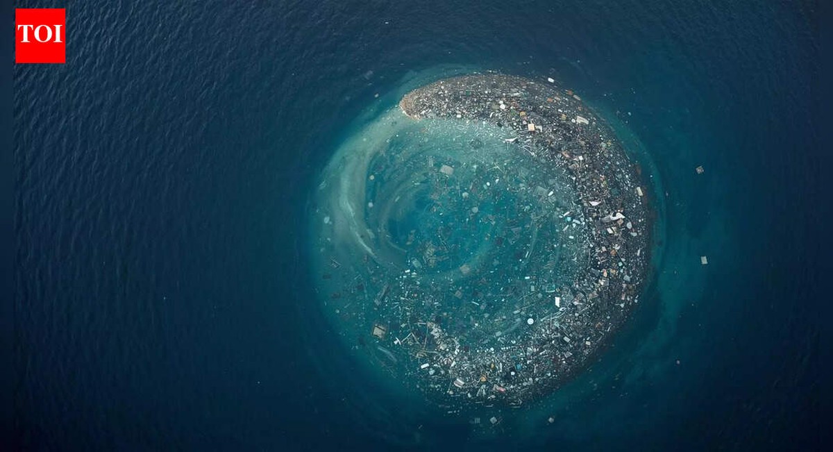 Onverwachte Ontdekkingen: Dieren Leven op Plastic Vervuiling in de Stille Oceaan