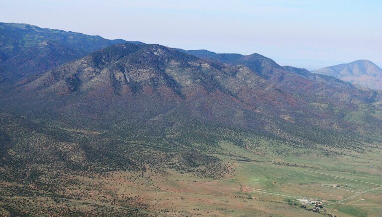 Schokkende Toename van Boomsterfte door Schorskevers in New Mexico!